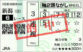 20110605新潟6R-2.png